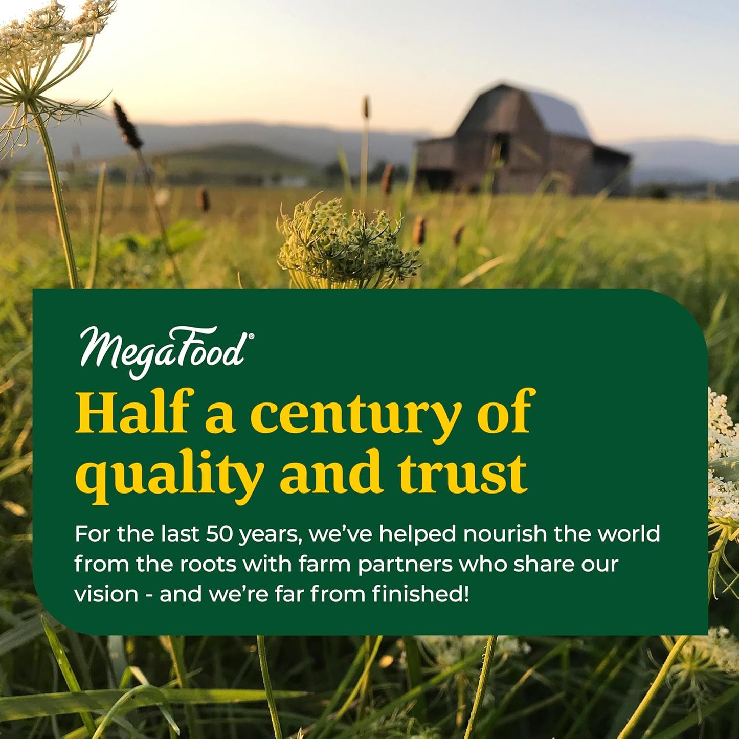 MegaFood Women's One Daily Multivitamin - Supports Bone Health, Energy, & Immune System - Vegetarian & Gluten-Free - 36 Tablets