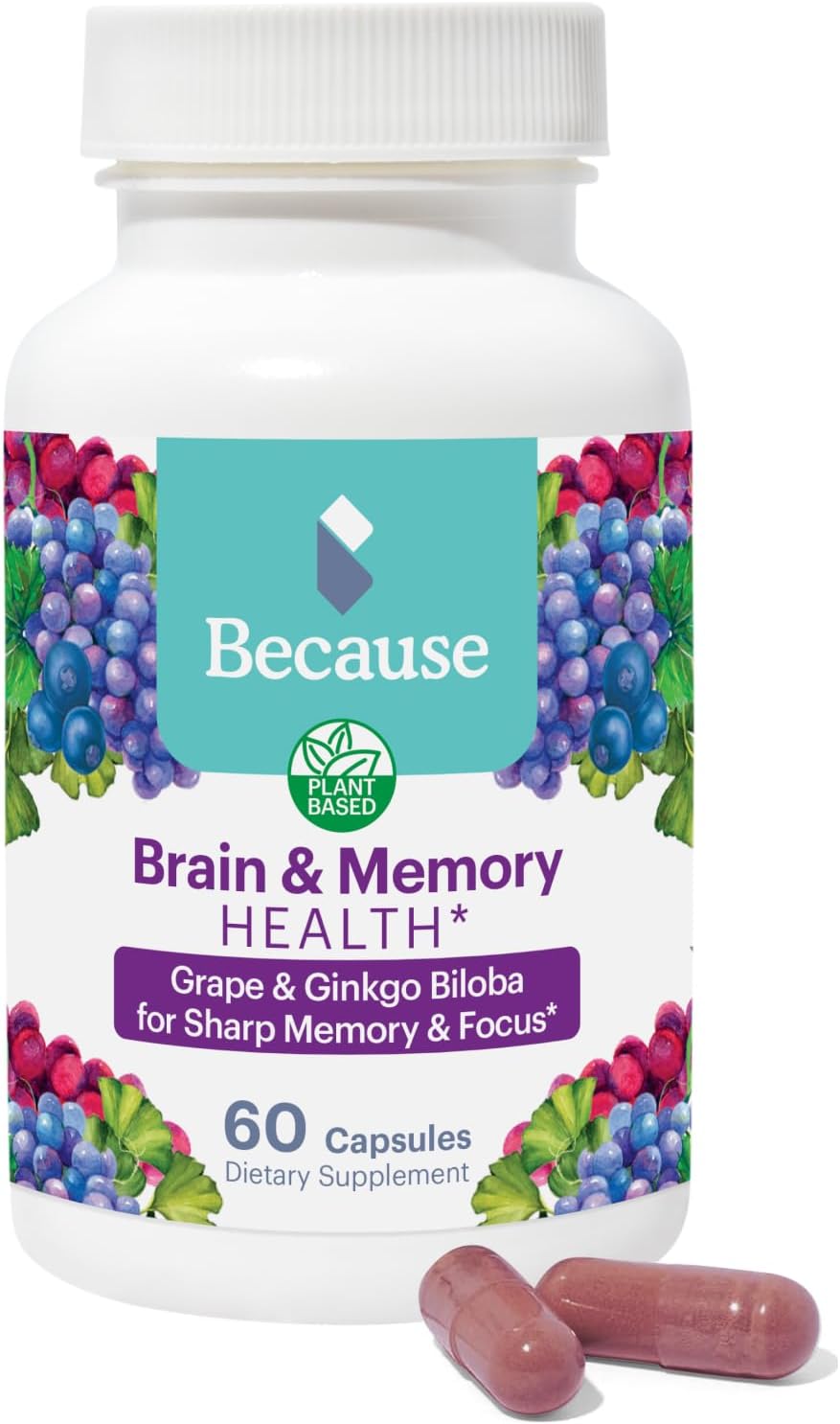 Memory and Focus Brain Supplement with Ginkgo Biloba - Cognitive Function Support - Vegan, Gluten-Free - 740mg - 60 Capsules