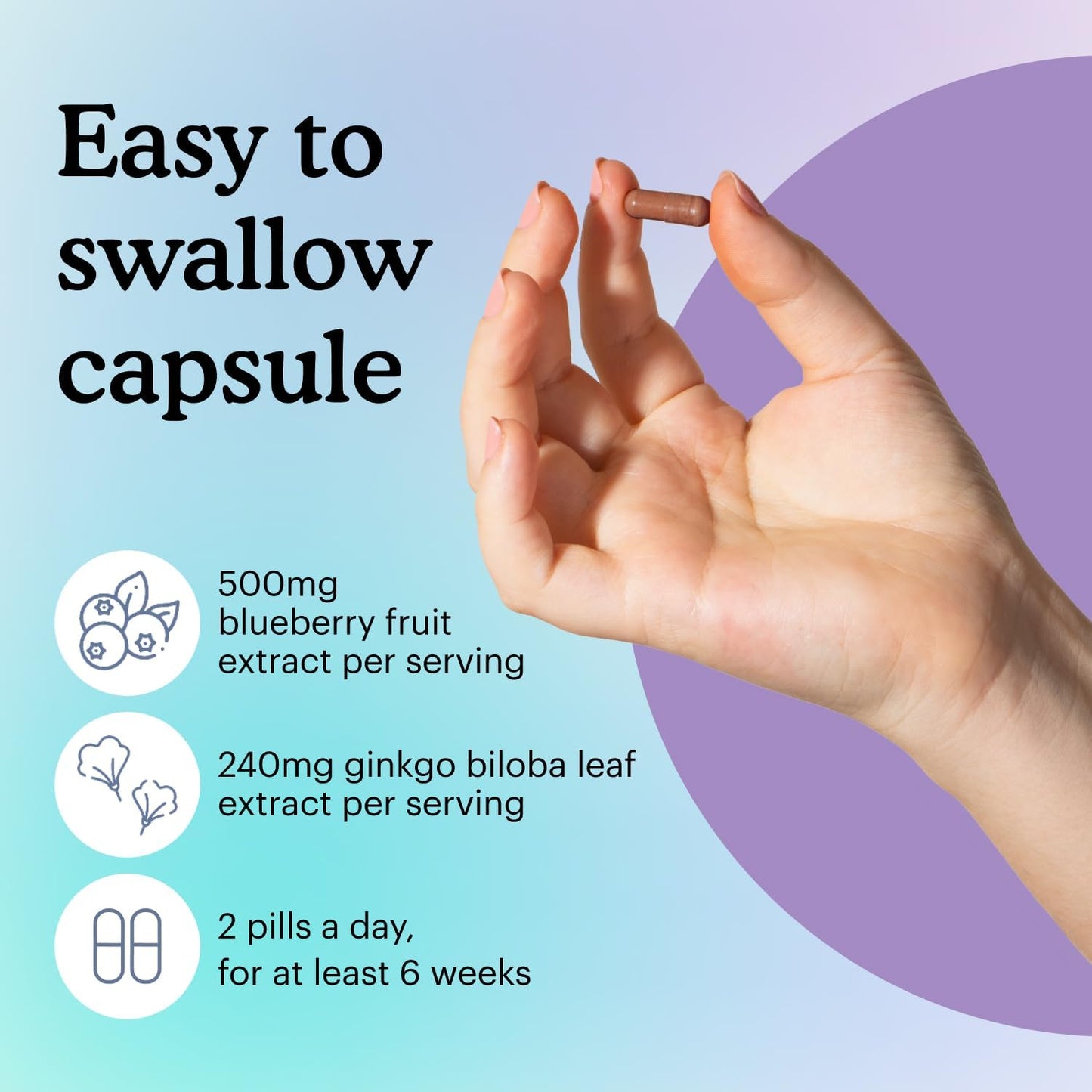 Memory and Focus Brain Supplement with Ginkgo Biloba - Cognitive Function Support - Vegan, Gluten-Free - 740mg - 60 Capsules