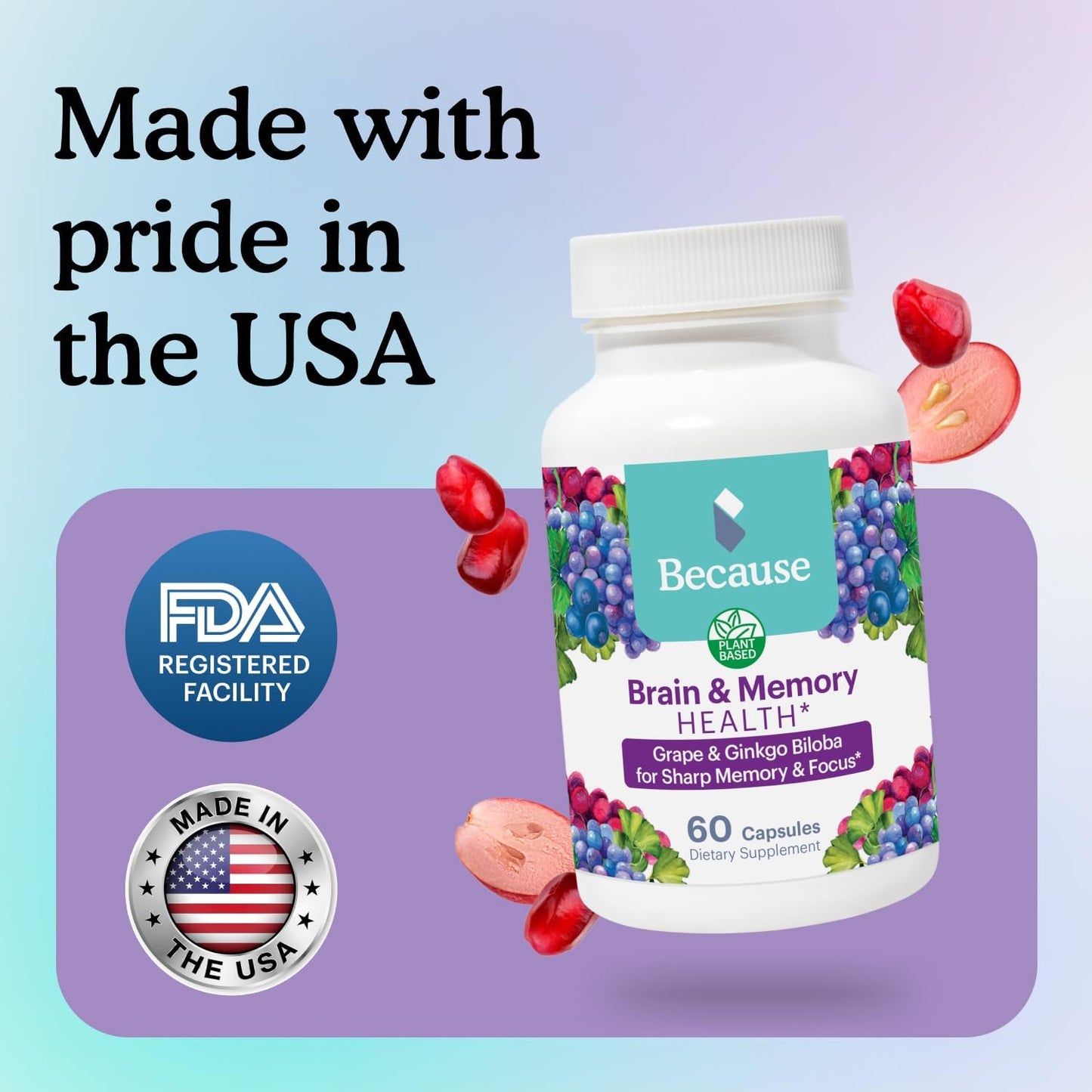 Memory and Focus Brain Supplement with Ginkgo Biloba - Cognitive Function Support - Vegan, Gluten-Free - 740mg - 60 Capsules