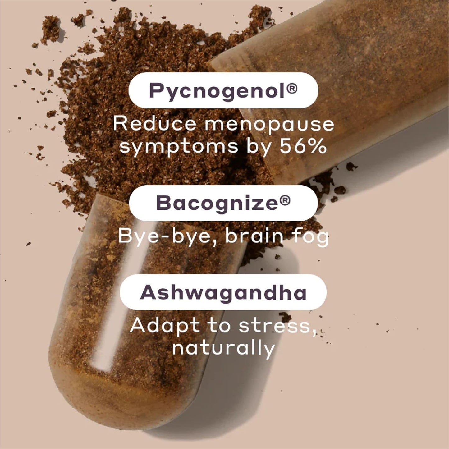 Menopause Relief Supplements for Women - Hot Flashes, Night Sweats, Vaginal Dryness, Brain Fog & Mood Support - Hormone & Estrogen-Free (3 Pack)