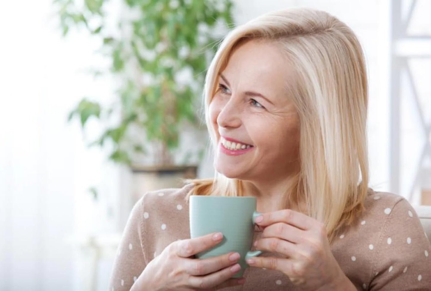 Menopause Relief Tea - Natural Relief for Hot Flashes & Menopause Symptoms - Black Cohosh, Red Clover, Green Tea, Licorice - 14 Day Supply - 1 Pack