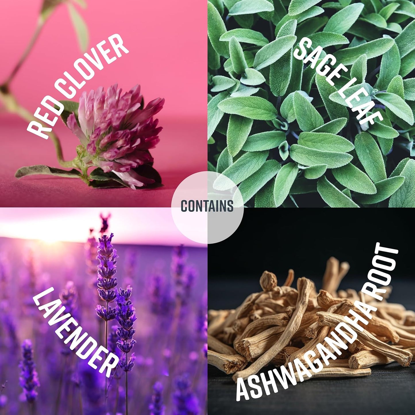 Menopause Support Supplements - 1 Month Supply for Perimenopause - Daily Ashwagandha, Vitamins, and Red Clover Capsules - Early Menopause Relief