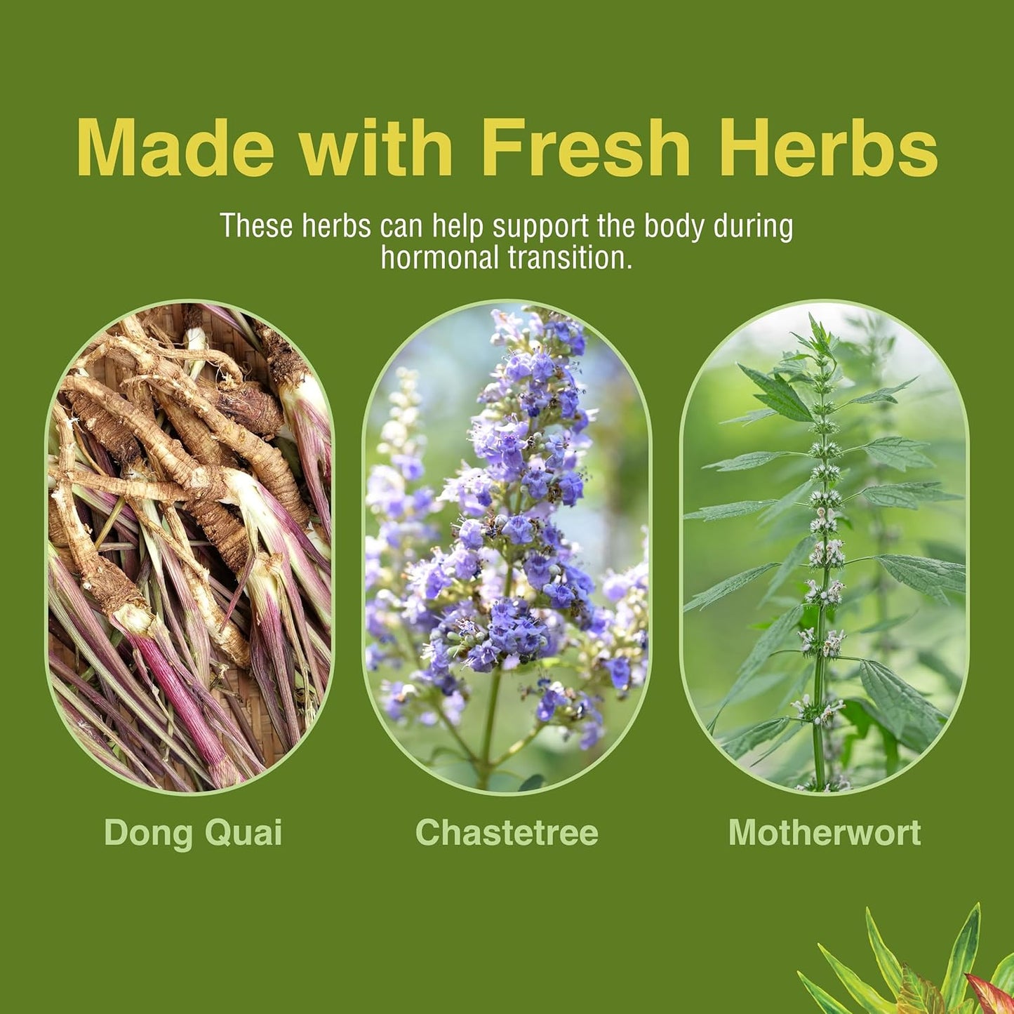 Menopautonic Menopausal Health Supplement with Chastetree Berry, Black Cohosh & Ginseng - Supports Hormonal Balance & Vaginal Health - 60 Softgels