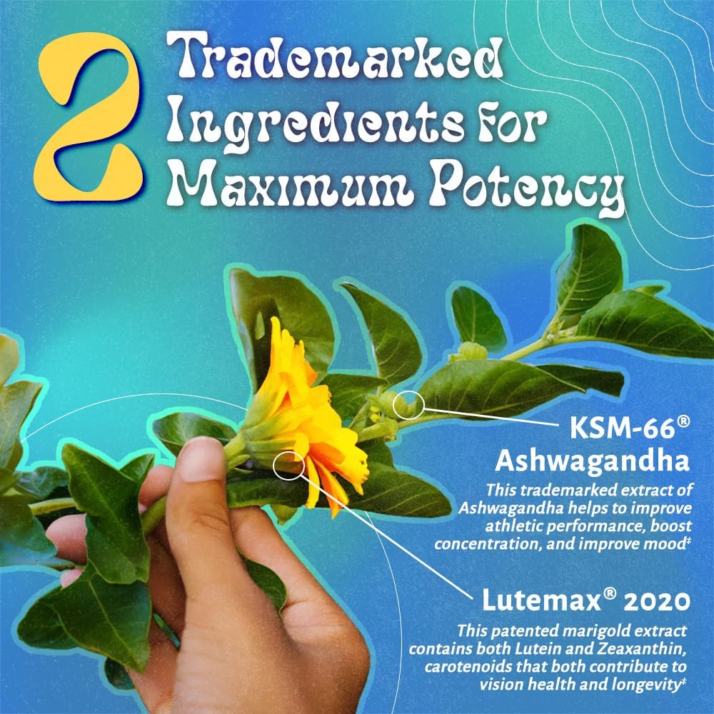 Men's 50+ Multivitamin with Iron, Calcium, CoQ10 - Vegetarian & Non-GMO - 60 Capsules