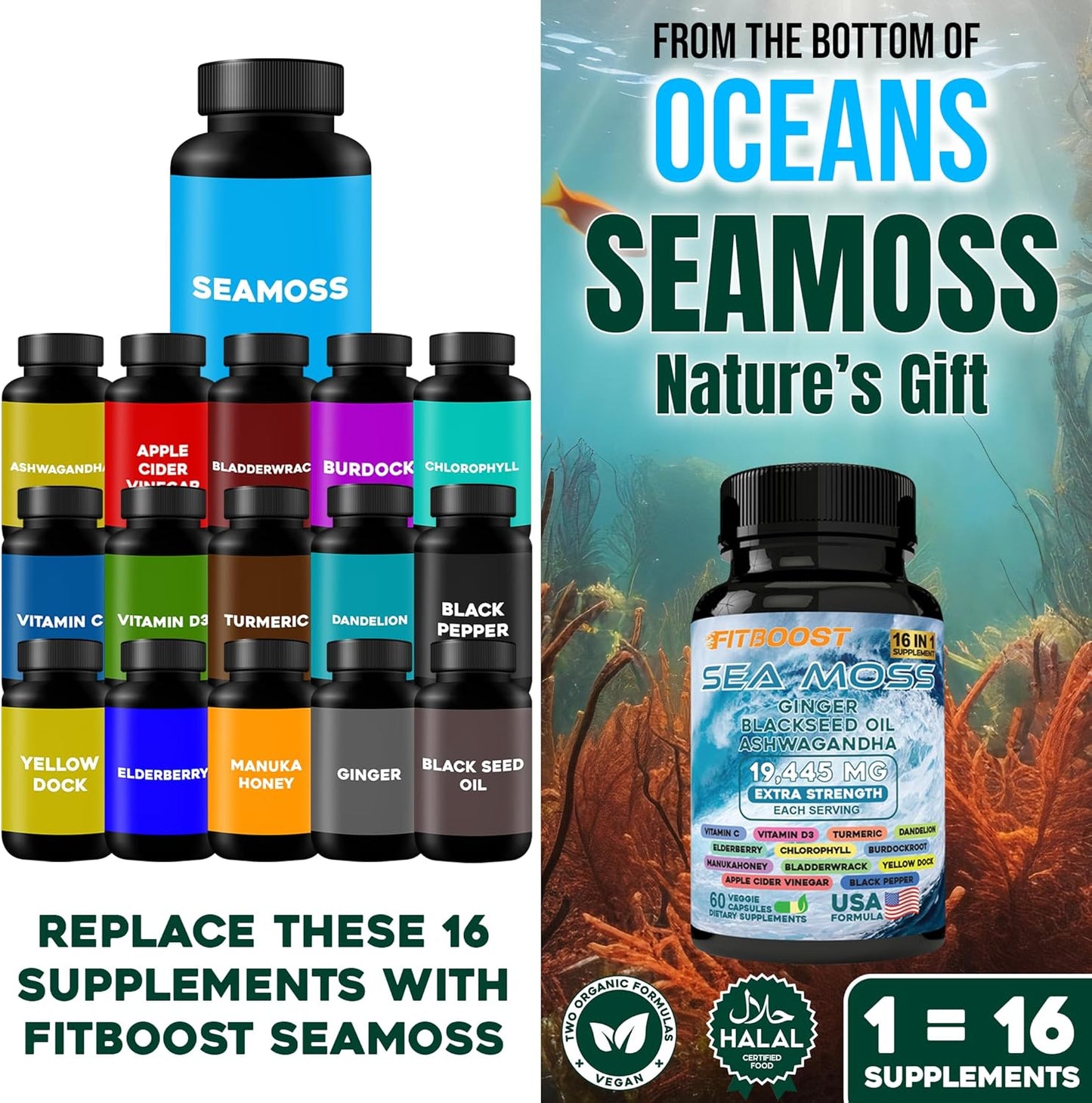 Men's Dynamic Vitality Bundle: Sea Moss, Shilajit, Black Seed Oil, Ashwagandha, Burdock Root - 30 Day Supply
