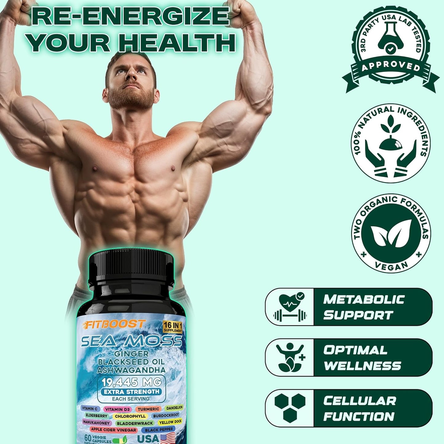 Men's Dynamic Vitality Bundle: Sea Moss, Shilajit, Black Seed Oil, Ashwagandha, Burdock Root - 30 Day Supply