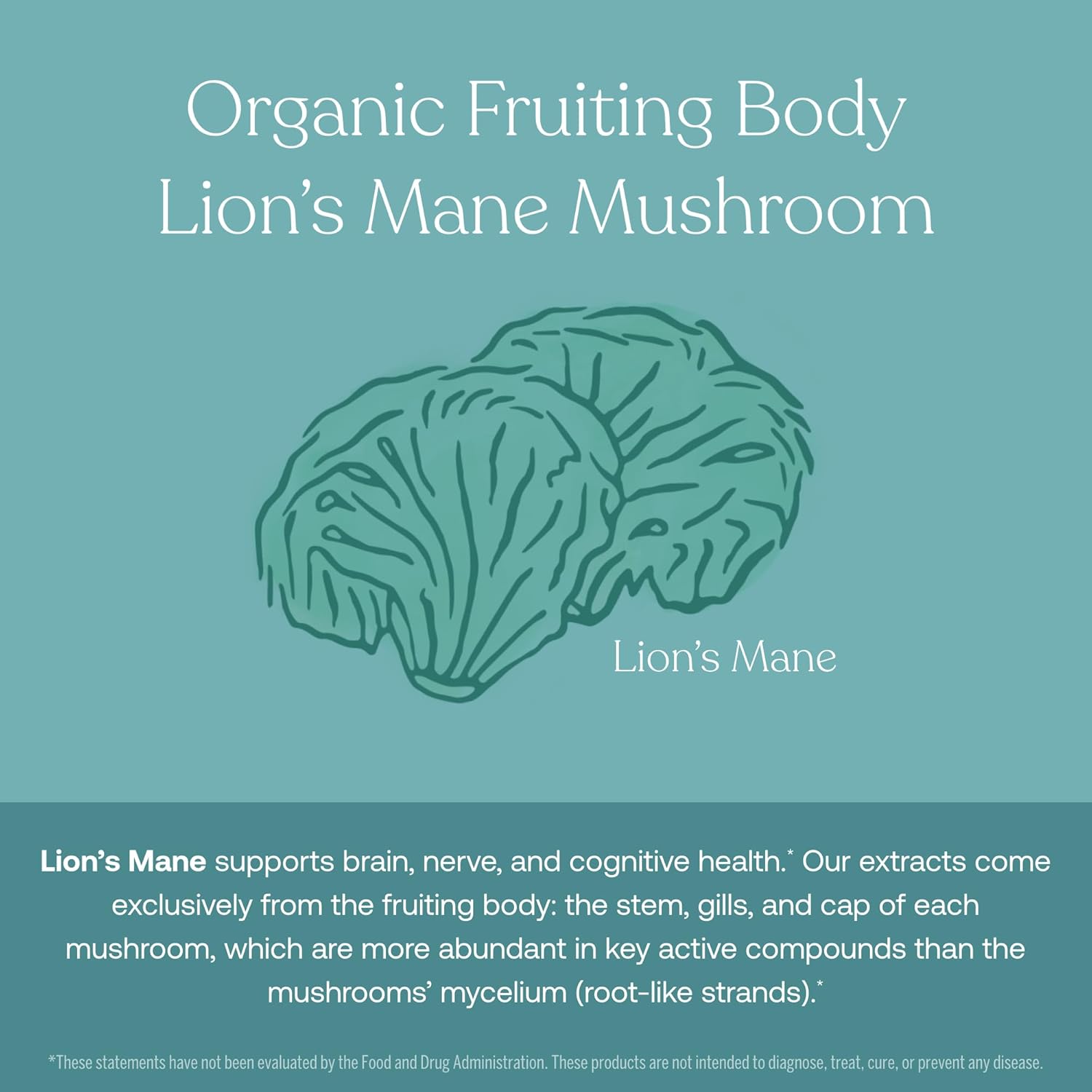 Men's Multivitamin 50+ for Immune, Energy, Longevity & Memory Support - 120 Tablets - Gluten Free, Soy Free, Vegan - 60 Servings