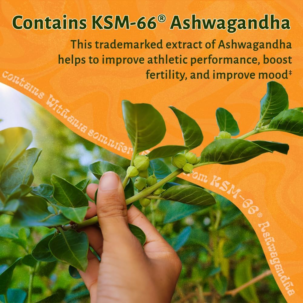 Men's Multivitamin with Iron, Calcium, Ashwagandha, CoQ10 & Lycopene - Daily Nutritional Support - 60 Capsules