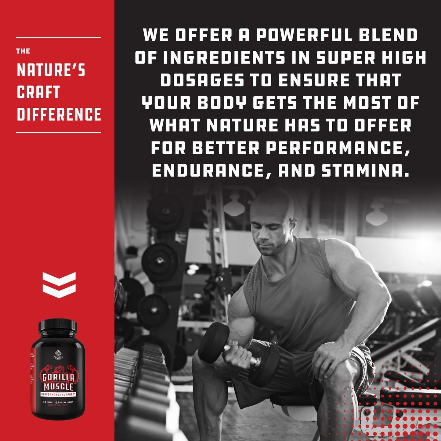 Men's Nitric Oxide Support Pills Bundle - Enhance Energy, Muscle Recovery, and Testosterone Boost for Muscle Enlargement and Stamina