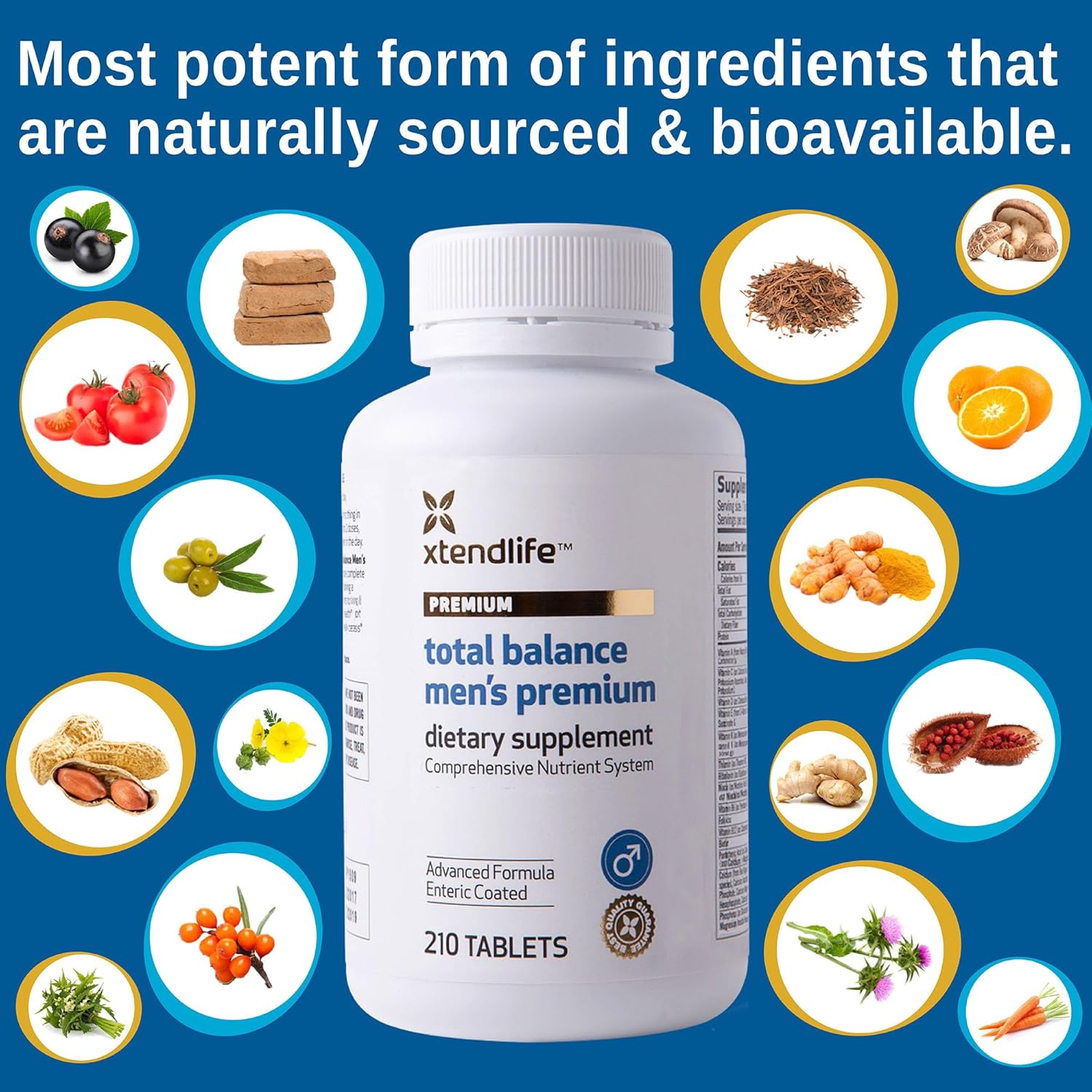 Men's Premium Daily Multivitamin with 90+ Nutrients for Immune, Heart, Digestive, and Cellular Health - 30 Day Supply