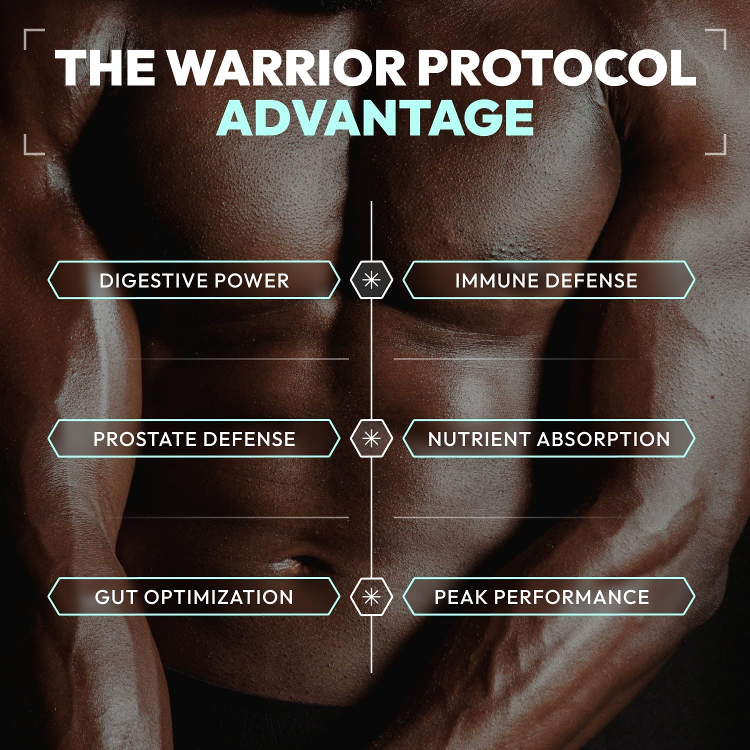 Men's Probiotic Supplement with Prebiotics for Digestive, Gut, and Immune Health - 60 Capsules, Gluten & Soy Free, Prostate Support