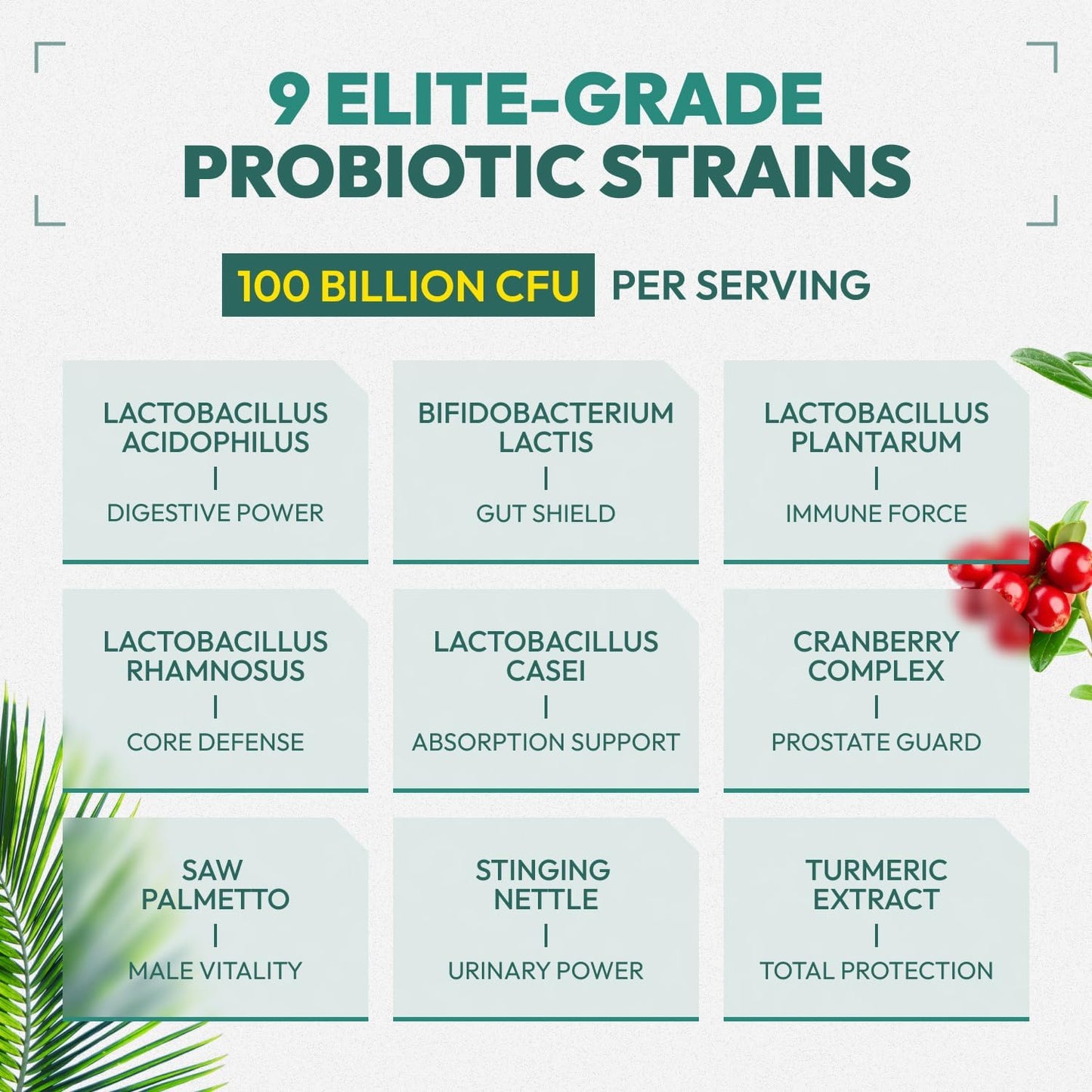 Men's Probiotic Supplement with Prebiotics for Digestive, Gut, and Immune Health - 60 Capsules, Gluten & Soy Free, Prostate Support