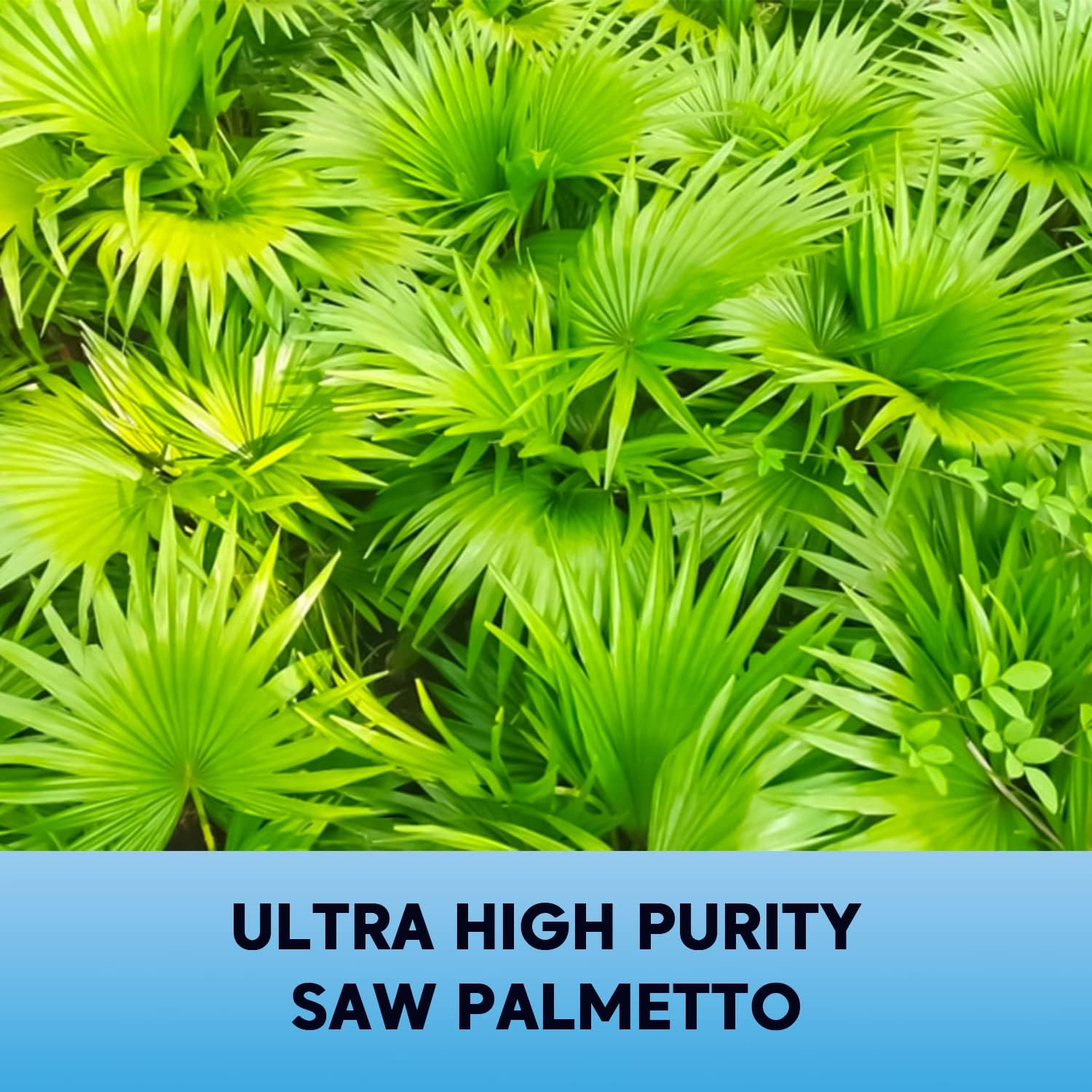 Men's Prostate Health Supplement with Saw Palmetto, Pygeum, and Beta-Sitosterol - Promotes Healthy Urinary Flow - Non GMO Gluten Free - 60 Ct