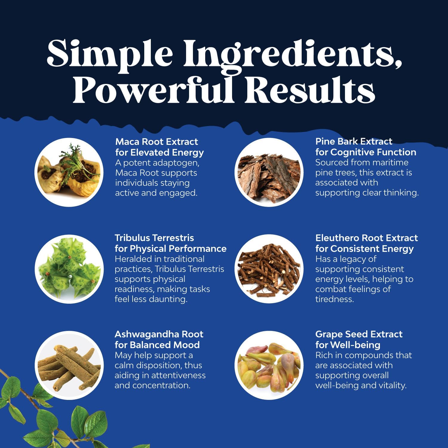 Men's Wellness Supplement with Black Maca, Siberian Ginseng, and Ashwagandha - Herbal Capsules for General Health - Natures Craft (Trial Size)