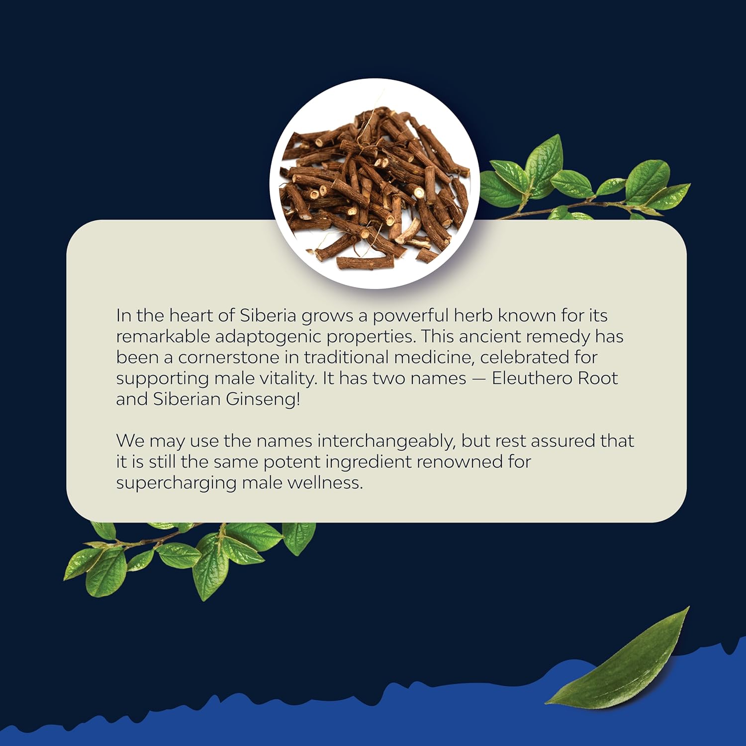 Men's Wellness Supplement with Black Maca, Siberian Ginseng, and Ashwagandha - Herbal Capsules for General Health - Natures Craft (Trial Size)