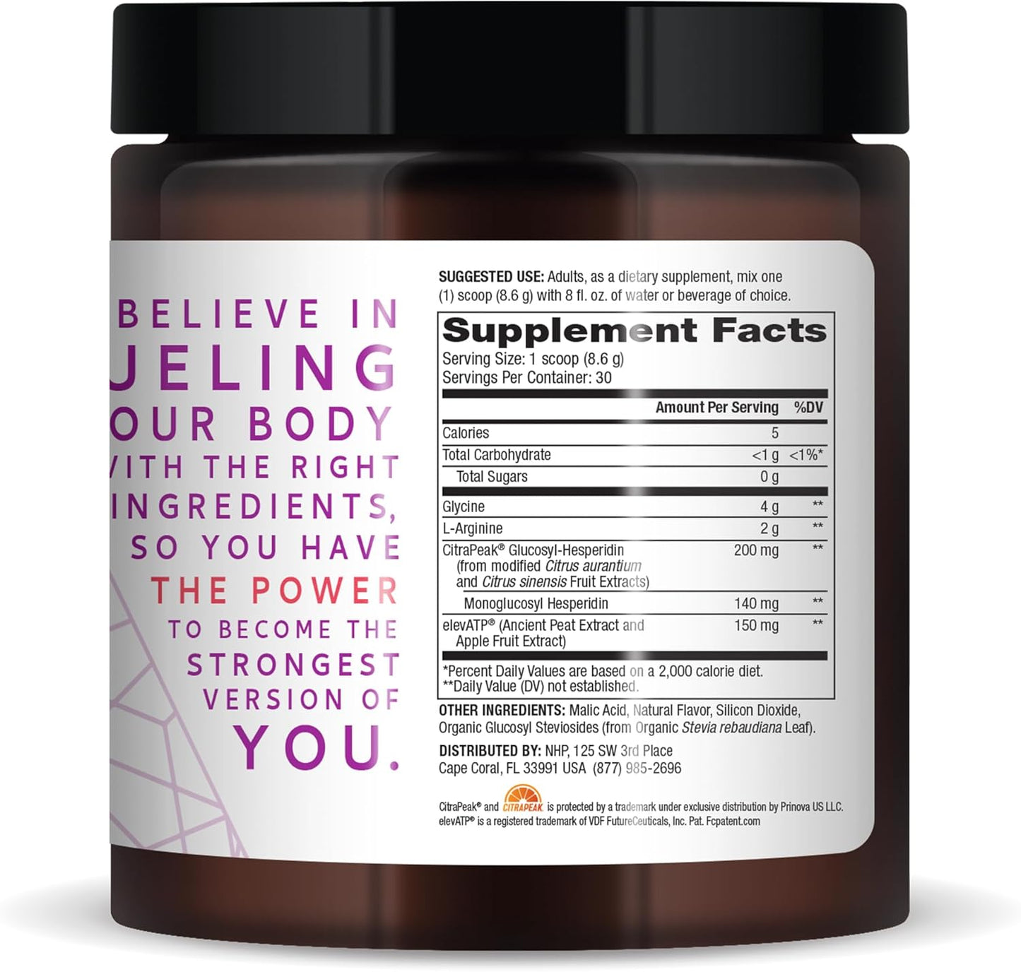 Mercola Pure Power Endurance Powder, Berry Blast Flavor, 9.1 oz (258 g), 30 Servings, Non-GMO Formula with Glycine and L-Arginine