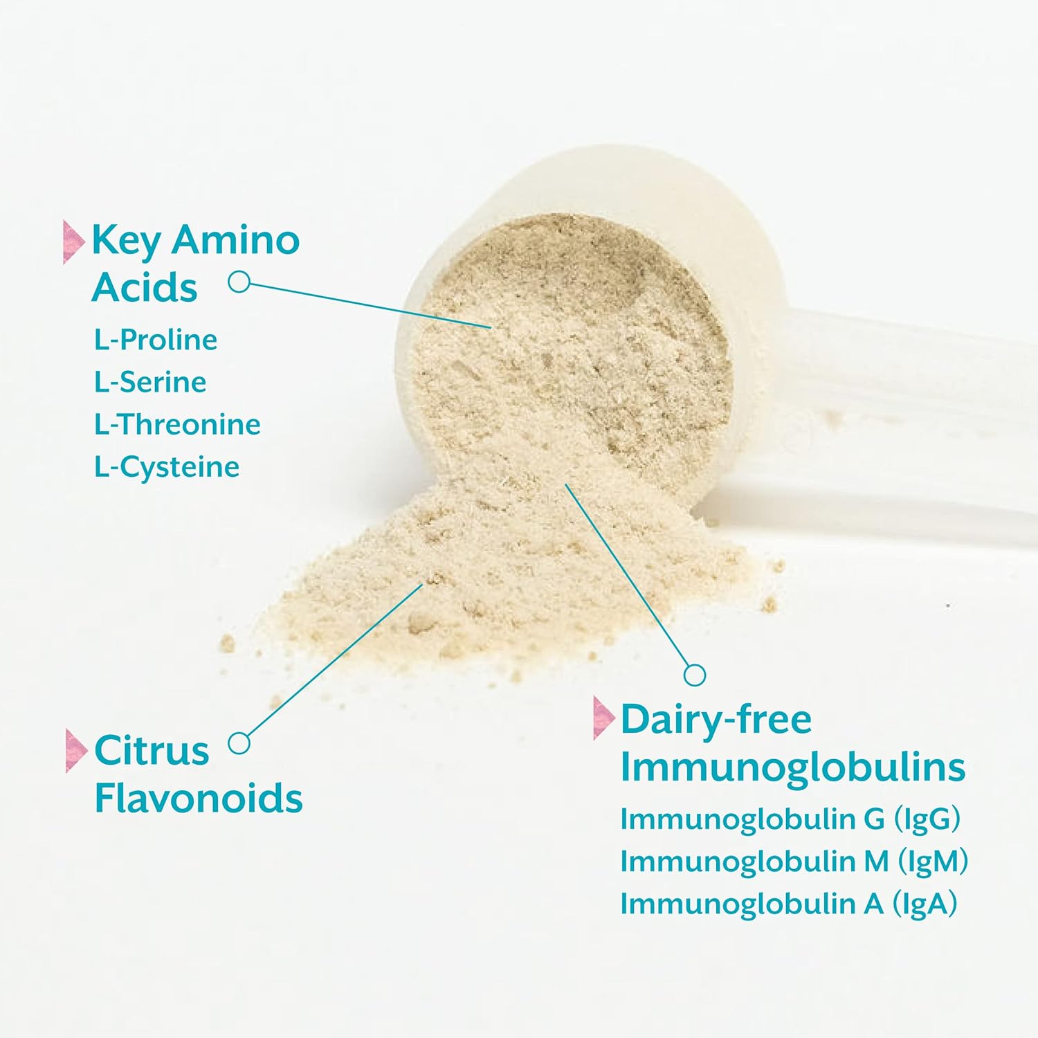 Microbiome Labs MegaSporeBiotic & MegaMucosa Bundle - Probiotic & Gut Support with Spore-Based Formula & Amino Acids Powder