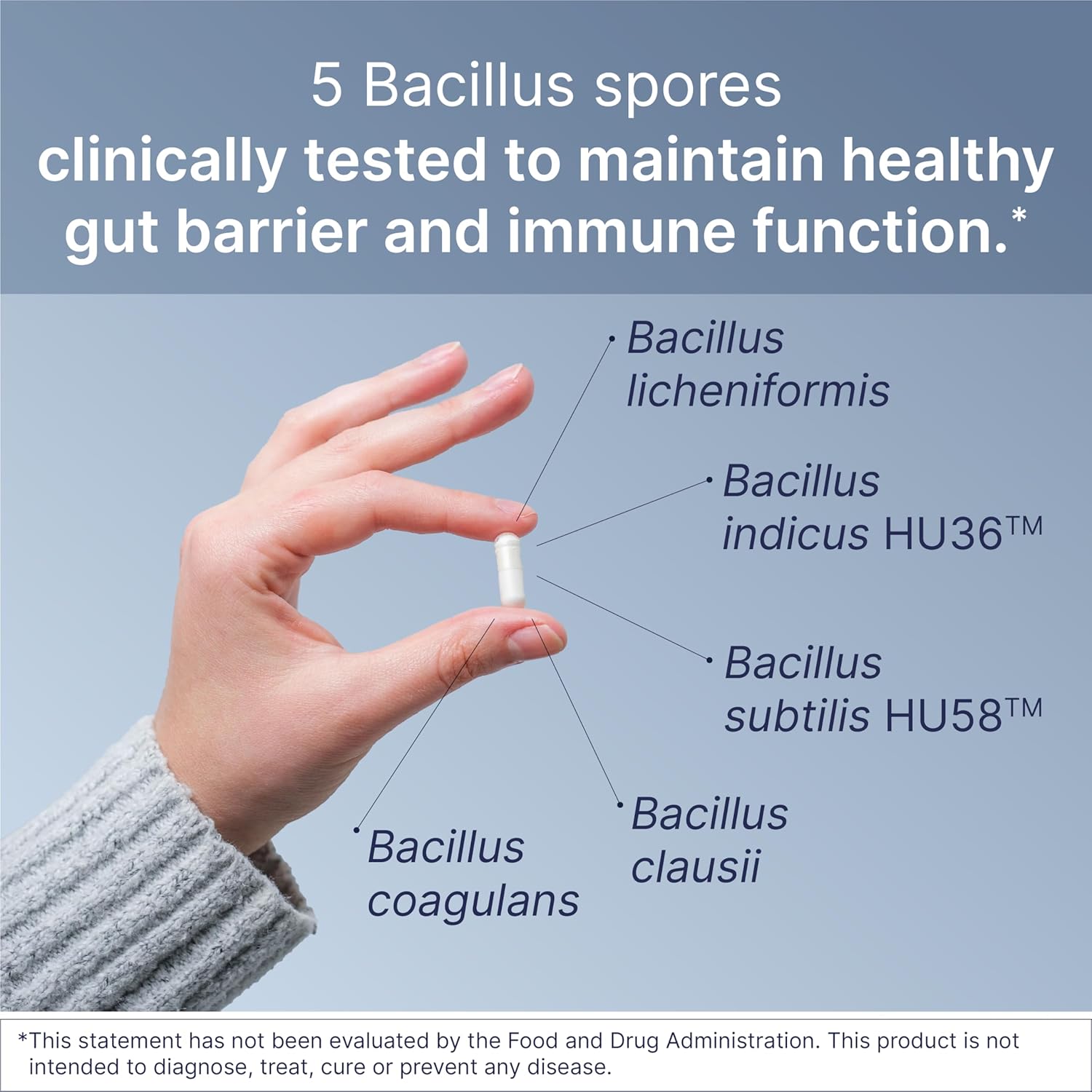 Microbiome Labs MegaSporeBiotic & MegaMucosa Bundle - Probiotic & Gut Support with Spore-Based Formula & Amino Acids Powder