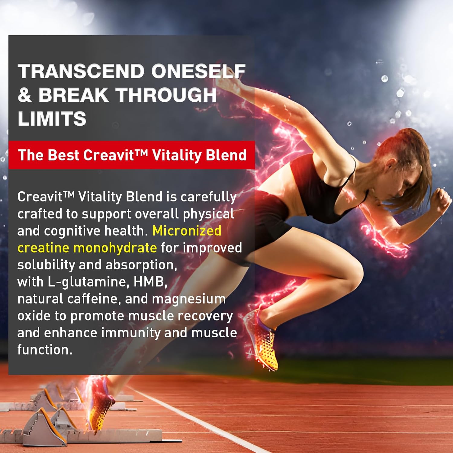 Micronized Creatine Monohydrate Powder with L-Glutamine, HMB, Caffeine & Magnesium | 5g per Serving, 7 Pack