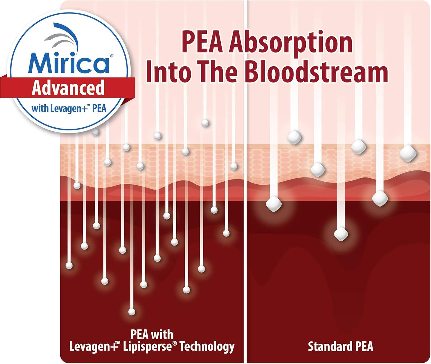 Mirica Advanced Nervous System Support Capsules - High Absorption Pea, Luteolin & Polydatin Formula, 60ct