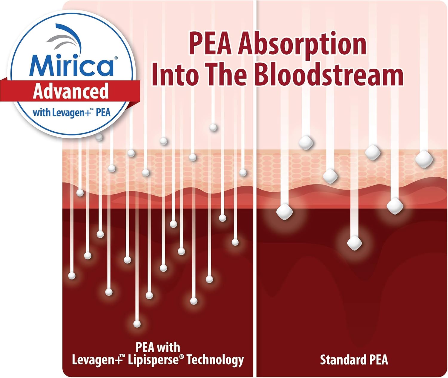 Mirica Advanced Nervous System Support Capsules - High Absorption Pea, Luteolin & Polydatin Formula, 60ct