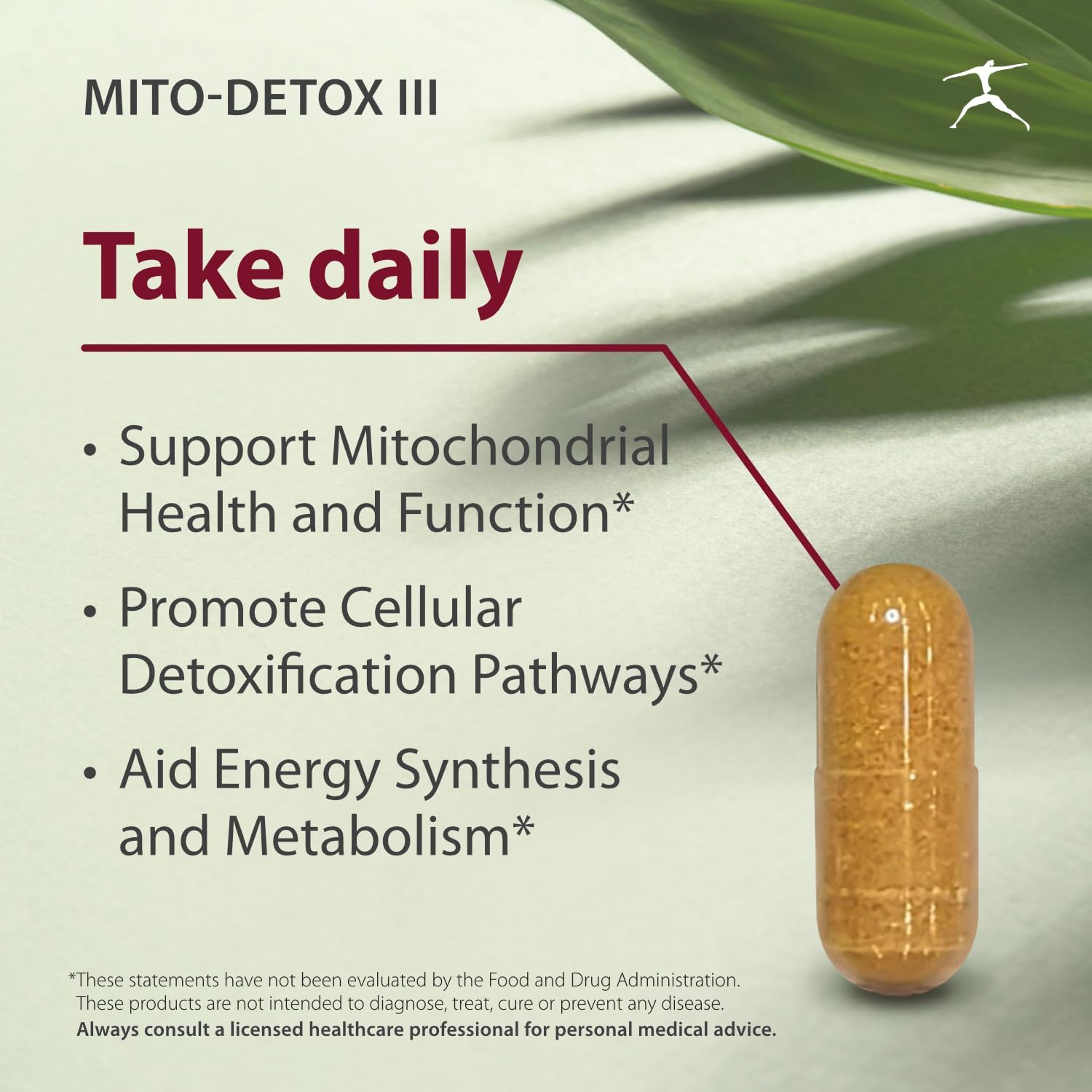 Mito-Detox III Supplement with N-Acetyl Cysteine, Acetyl L-Carnitine, Alpha Lipoic Acid, and Co-Q-10 by BIOSPEC NUTRITIONALS