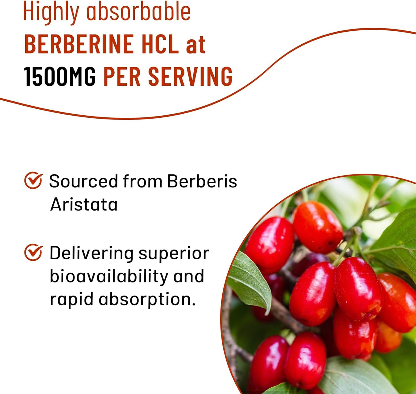 Mixed Berry Flavored Berberine Gummies with Ceylon Cinnamon, Magnesium Citrate, Milk Thistle - 60 Count for Adults and Kids