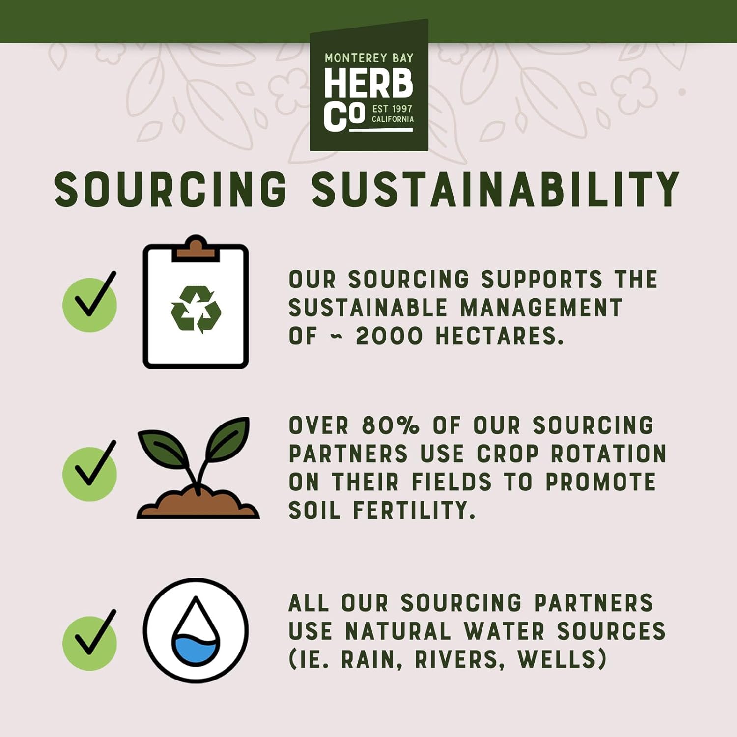 Monterey Bay Herb Co. Ginger Root Powder - Versatile Pungent Spice for Cooking, Bath Soaks & Body Scrubs - 1 lb Powder