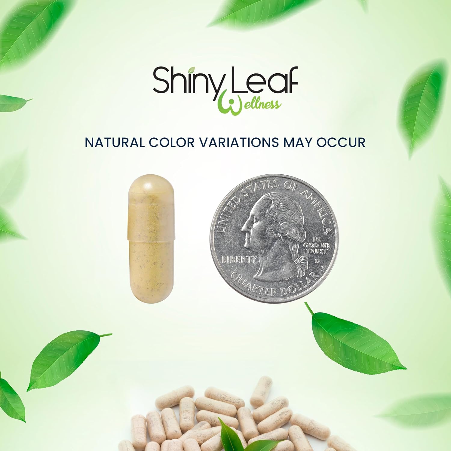 Monthly Supply of Shiny Leaf Bariatric Multivitamin Capsules with Iron for WLS and Bypass Patients