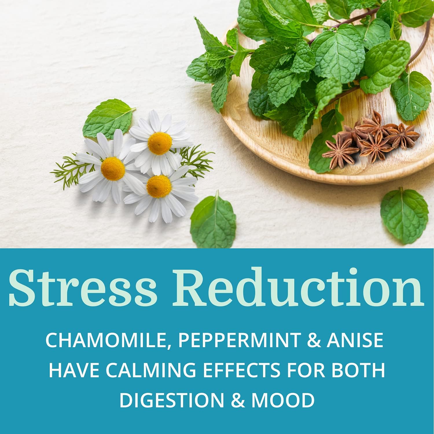 Morter HealthSystem Alka•Pan (3 Pack) - Alkaline Digestive Supplement with Pancreatic Enzymes, Superfoods, and Herbs