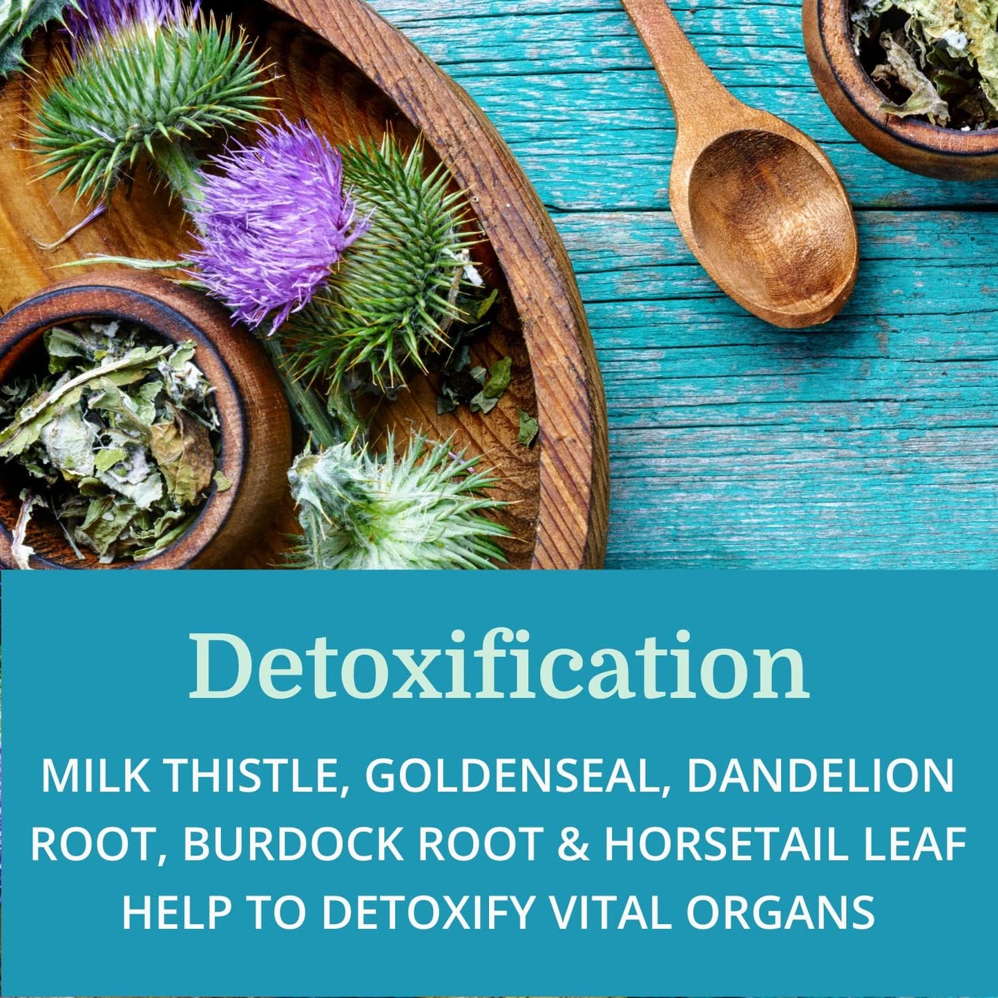 Morter HealthSystem SuperV (2 Pack) Alkaline Multivitamin with Digestive Enzymes, Superfoods, and Herbs - Energy Boosting and Detoxifying Formula