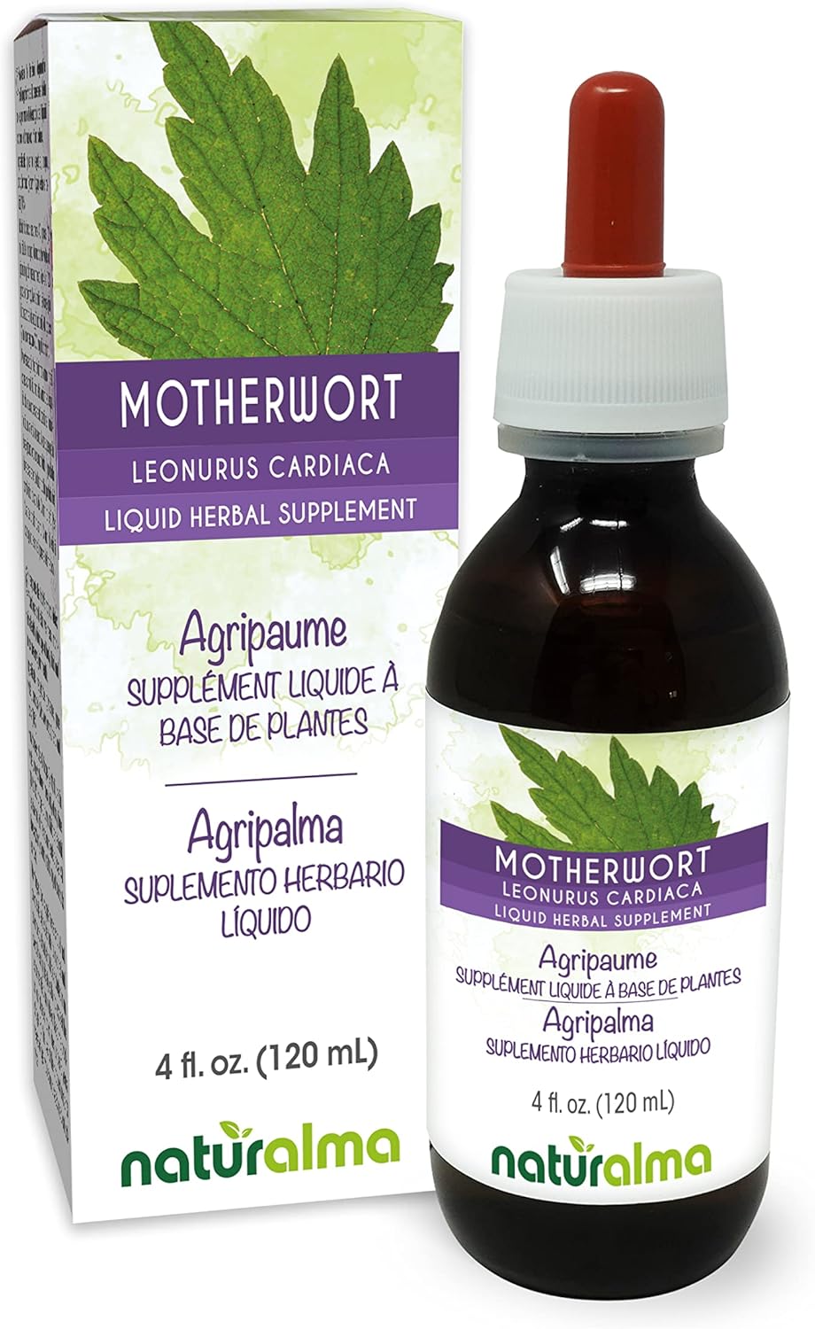 Motherwort (Leonurus cardiaca) Alcohol-Free Tincture - 4 fl oz Liquid Extract - Herbal Supplement for Mothers - Vegan Friendly