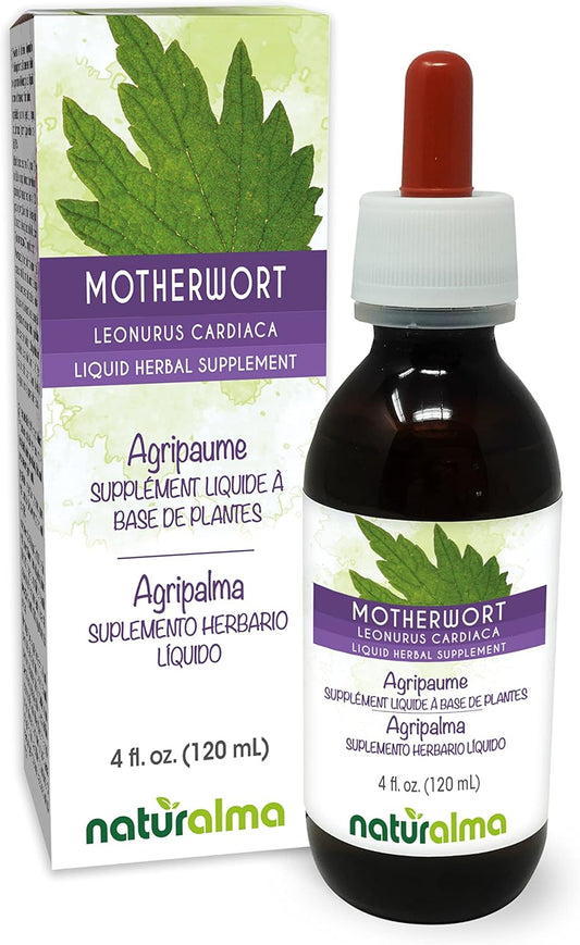 Motherwort (Leonurus cardiaca) Alcohol-Free Tincture - 4 fl oz Liquid Extract - Herbal Supplement for Mothers - Vegan Friendly