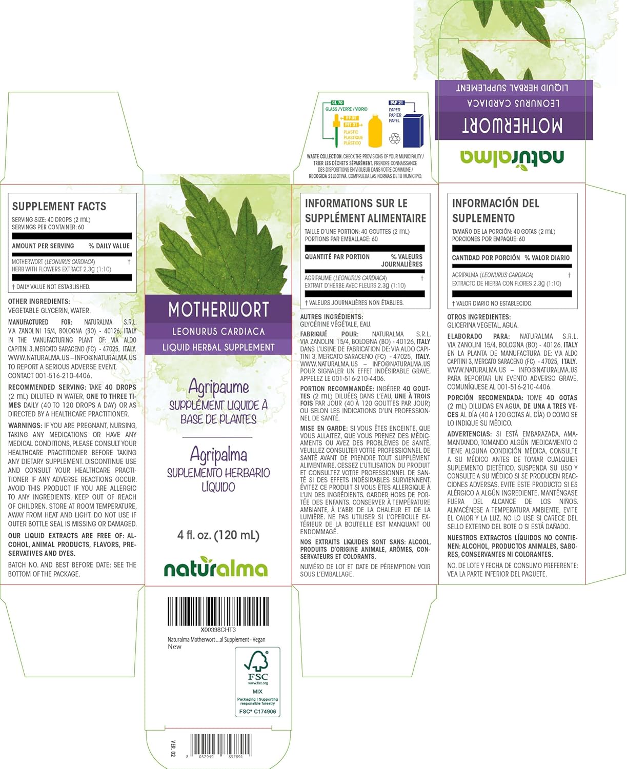 Motherwort (Leonurus cardiaca) Alcohol-Free Tincture - 4 fl oz Liquid Extract - Herbal Supplement for Mothers - Vegan Friendly