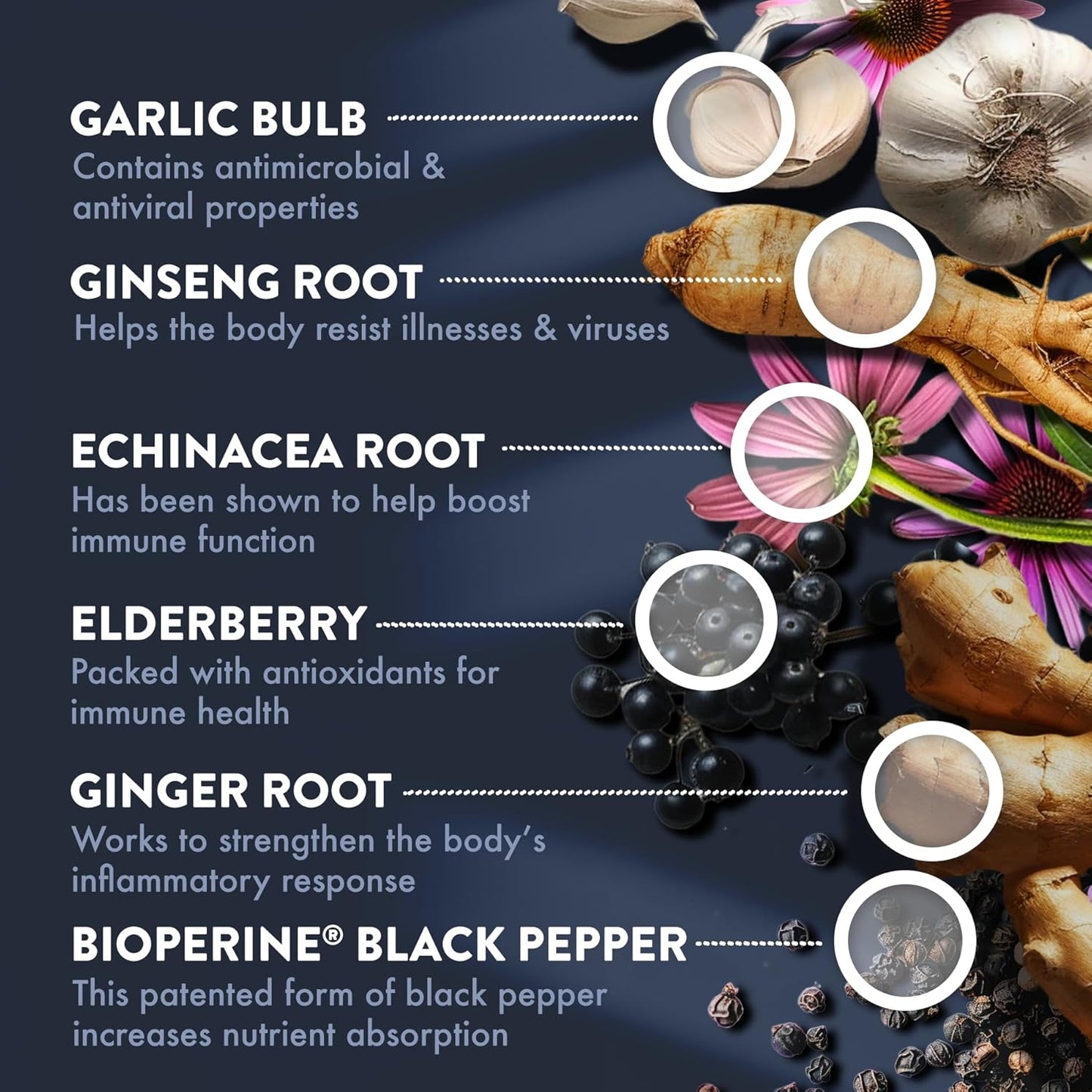 Mt. Angel Vitamins Cold Facts with Vitamin D for Immune System Support - 60 Vegetarian Capsules