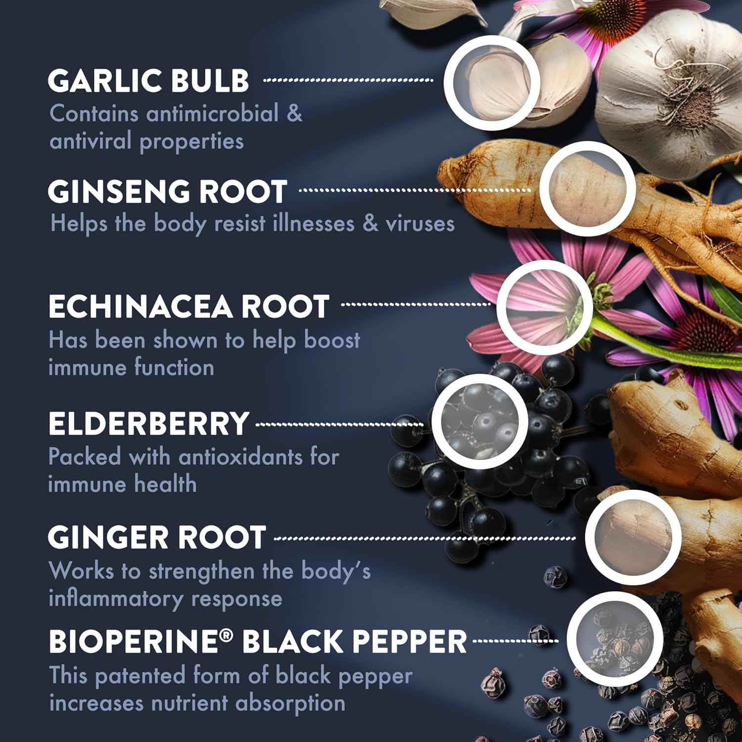 Mt. Angel Vitamins Cold Facts with Vitamin D for Immune System Support - 60 Vegetarian Capsules