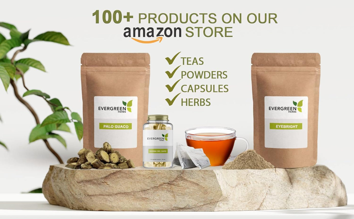 Muicle Capsules - 450 mg 90 Capsules - Justicia Spicigera - Desert Honeysuckle - Firecracker Bush - Moyotli - Trompetilla - Freshness Seal