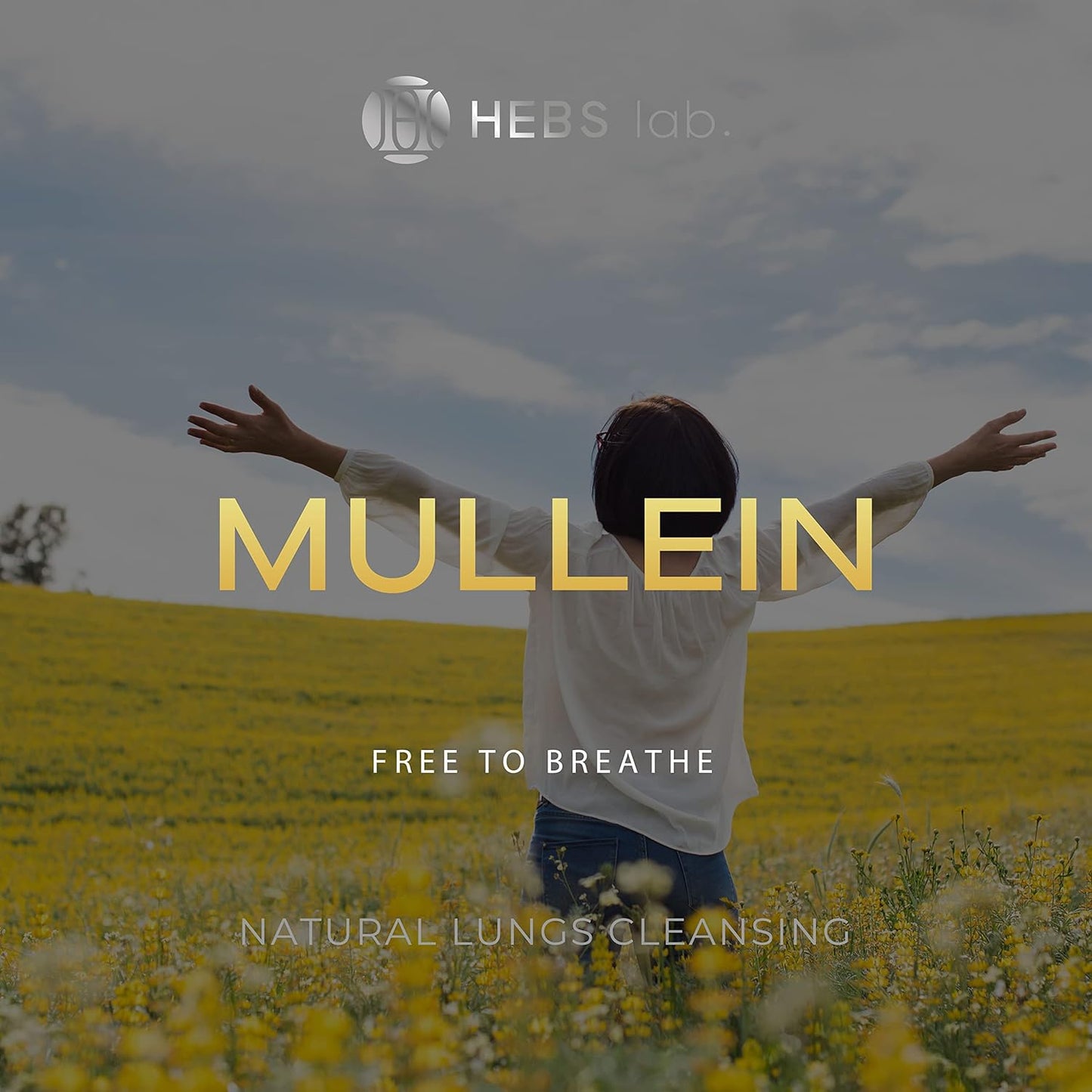 Mullein Leaf Extract and Lions Mane Mushroom Bundle for Respiratory and Brain Support by HEBS LAB