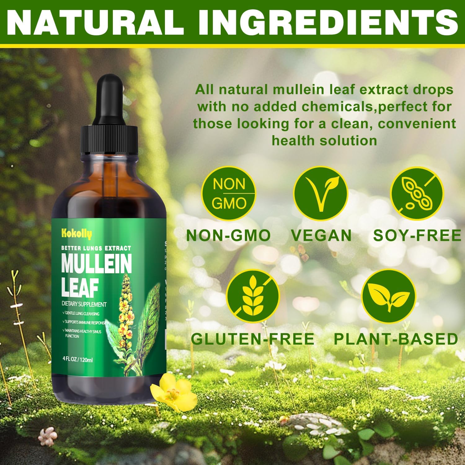 Mullein Leaf Extract Drops for Lung Cleanse and Respiratory Health, Vegan Herbal Supplement, Non-GMO, 2 Month Supply, 120ml