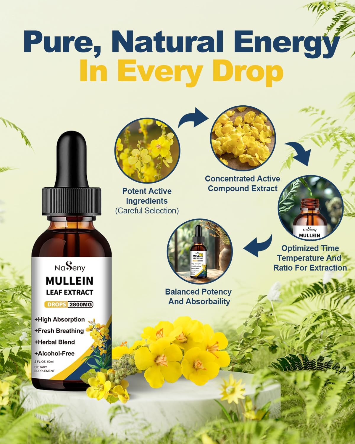 Mullein Leaf Extract Liquid Drops for Lung Cleanse & Respiratory Support - Herbal Supplement with Chlorophyll for Immune Health (60ml)
