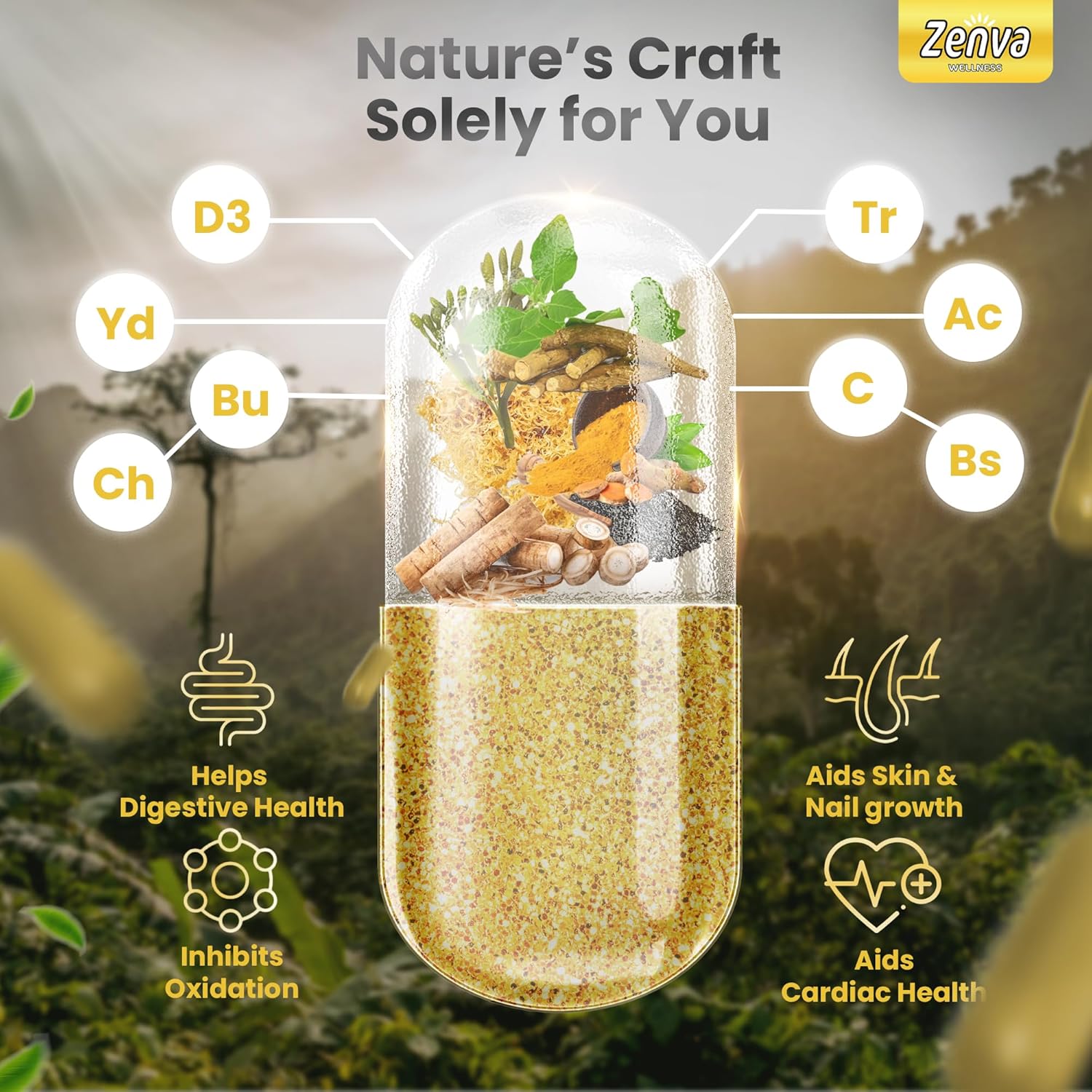 Multimineral Seamoss Capsules with Black Seed Oil, Ashwagandha, and Ginger - Sea Moss Pills with Elderberry, Turmeric, and Vitamin D3