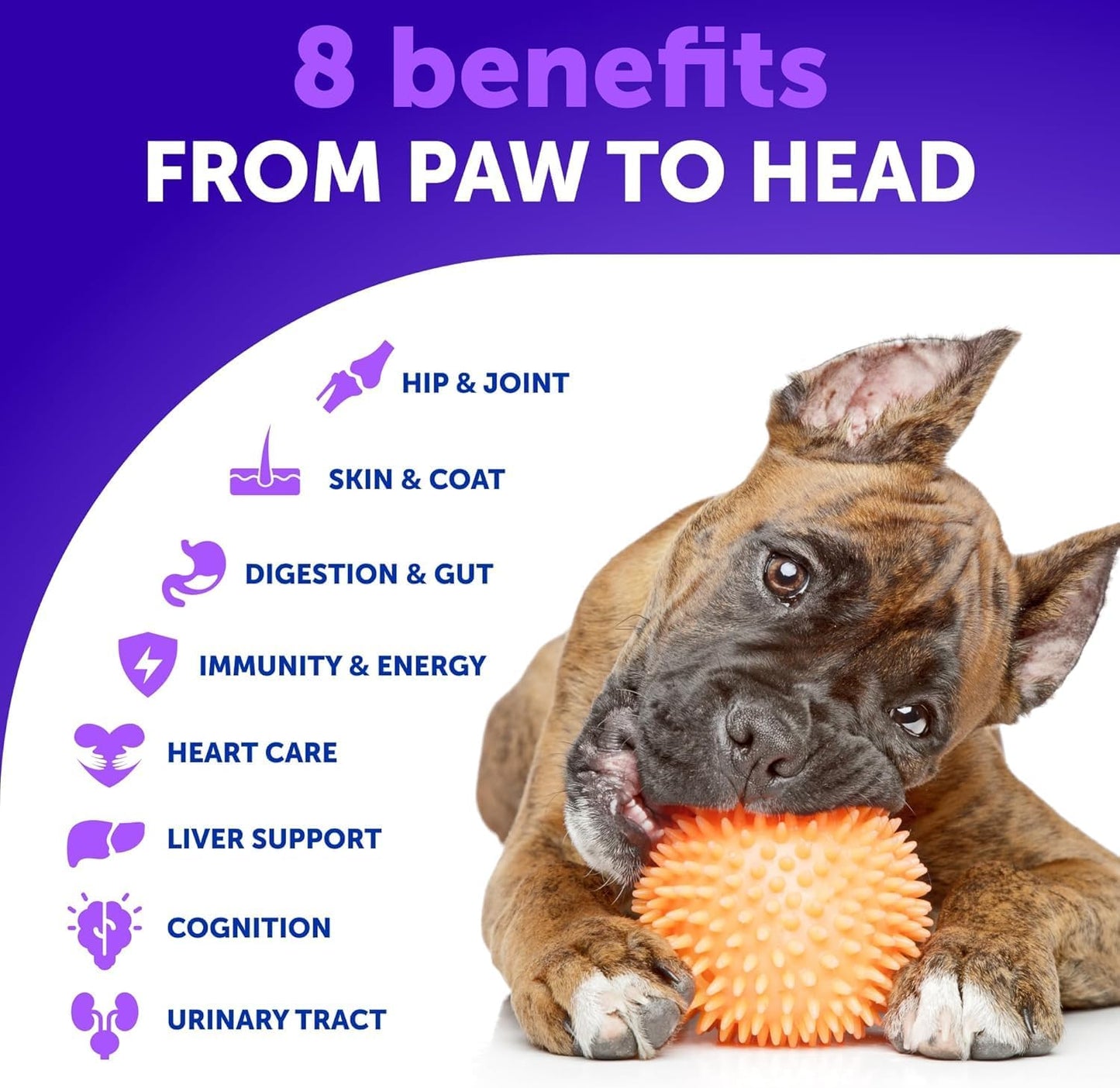 Multivitamin for Dogs with Glucosamine - Chewable Dog Supplements for Hip & Joint Support, Immunity, Skin, Digestion - 70 Soft Treats, Senior & Puppy Formula