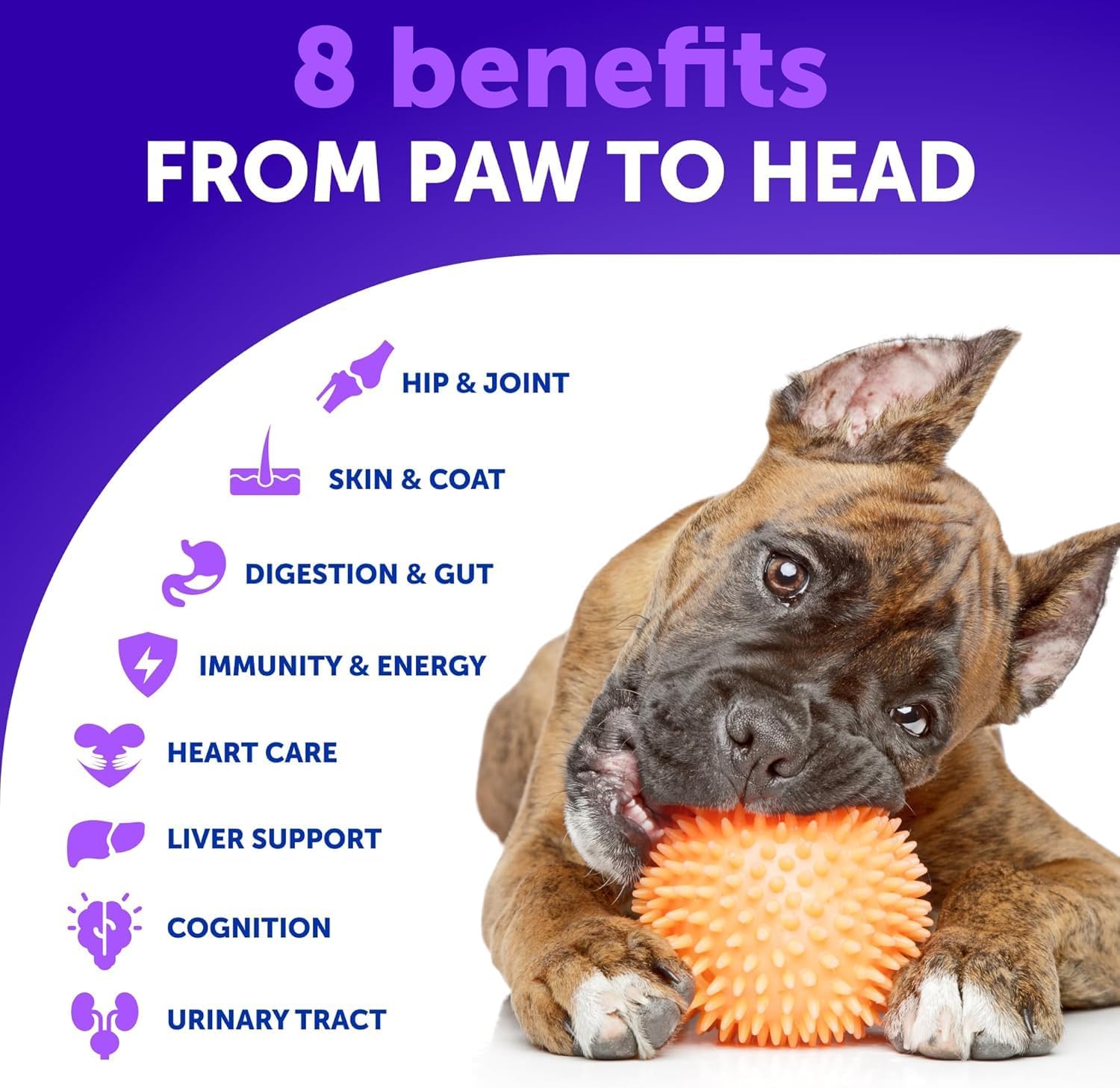 Multivitamin for Dogs with Glucosamine - Chewable Dog Supplements for Hip & Joint Support, Immunity, Skin, Digestion - 70 Soft Treats, Senior & Puppy Formula