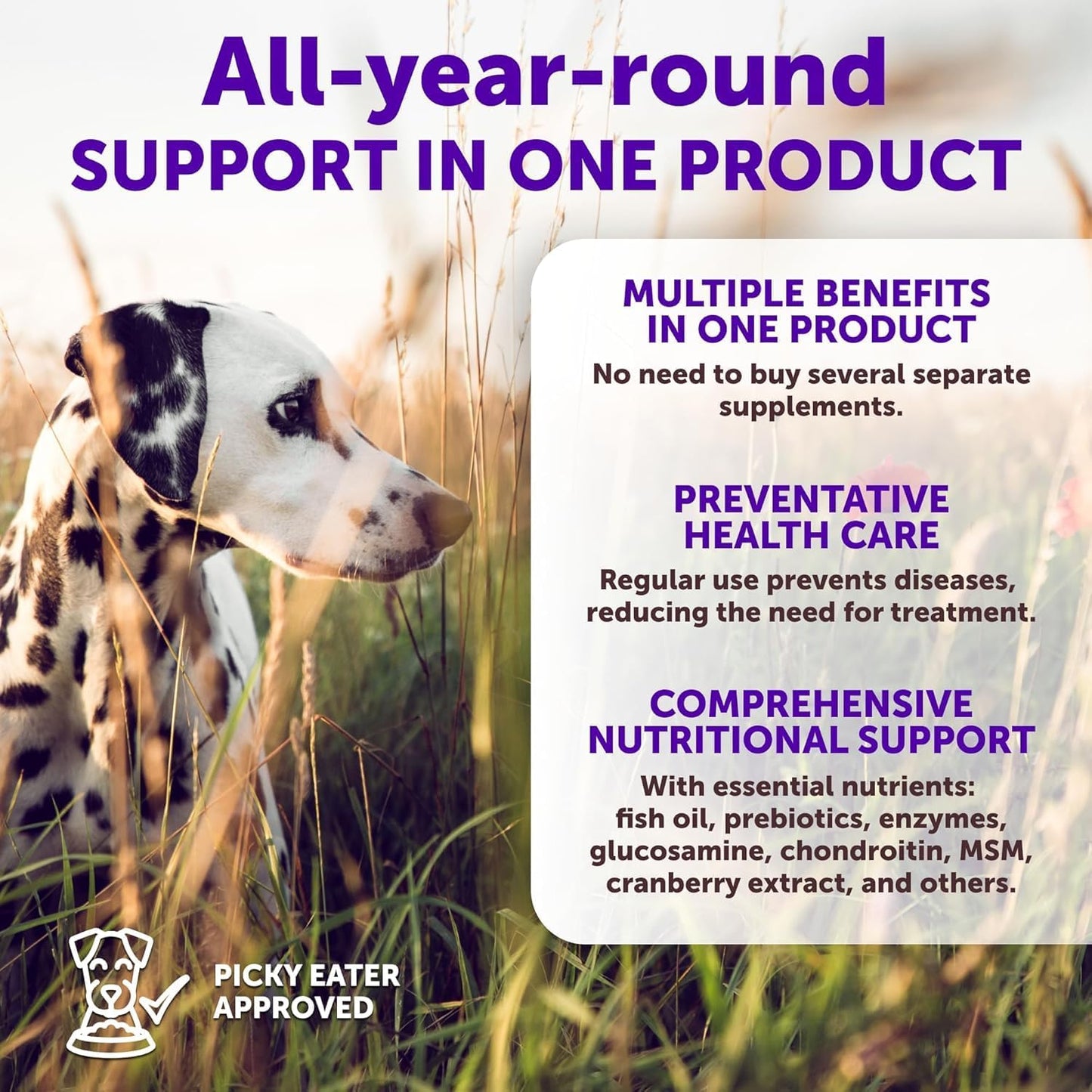 Multivitamin for Dogs with Glucosamine - Chewable Dog Supplements for Hip & Joint Support, Immunity, Skin, Digestion - 70 Soft Treats, Senior & Puppy Formula