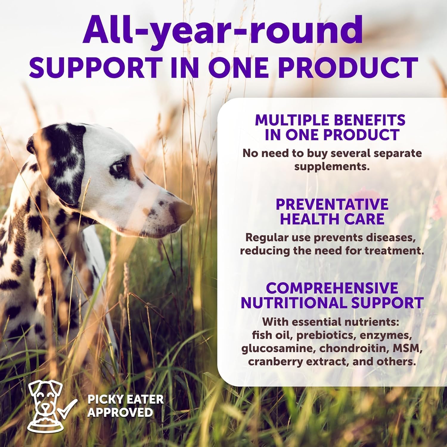 Multivitamin for Dogs with Glucosamine - Chewable Dog Supplements for Hip & Joint Support, Immunity, Skin, Digestion - 70 Soft Treats, Senior & Puppy Formula