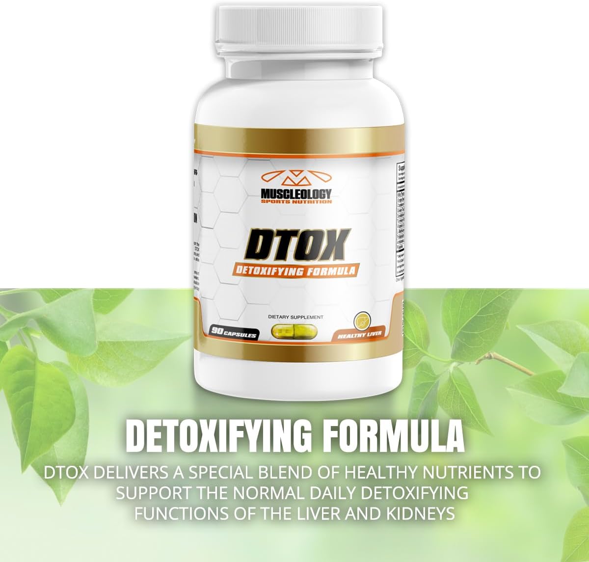 MUSCLEOLOGY Dtox: Liver and Kidney Support Supplement for Detoxification and Health