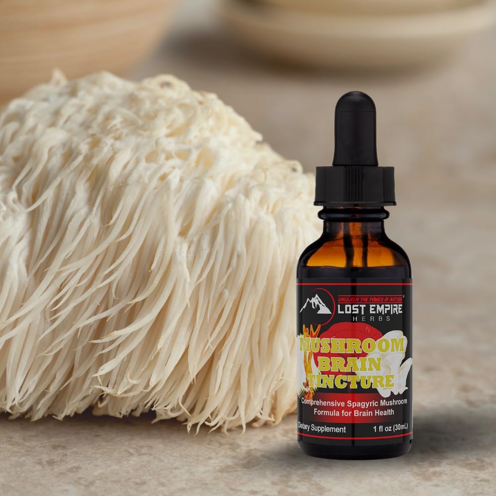 Mushroom Brain Spagyric Tincture with Lion's Mane, Cordyceps, Reishi, Oyster Mushrooms for Cognitive Support - 1 fl oz