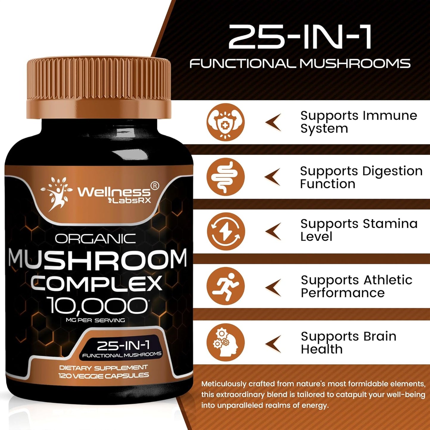 Mushroom Complex Capsules 1000mg - Lions Mane, Turkey Tail, Cordyceps, Reishi - 2 Pack by WELLNESS LABSRX