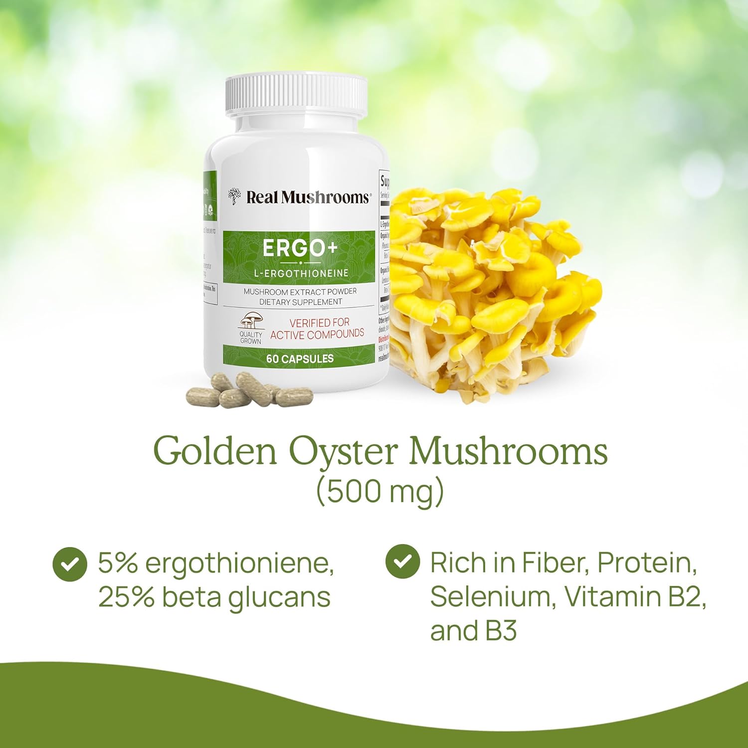 Mushroom Extracts Bundle for Longevity and Cognition - Ergothioneine, Lions Mane, Shiitake, Oyster - Vegan, Gluten Free, Non-GMO - Supports Healthy Aging - 60ct + 300ct